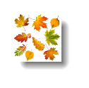 Осенний лист картинки, стоковые фото Осенний лист | Depositphotos